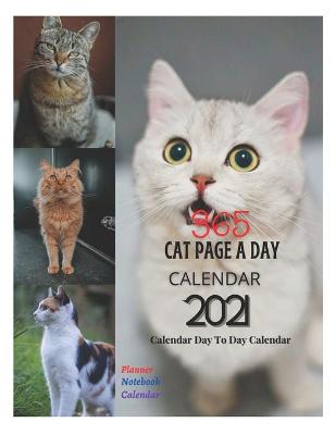 Book cover for 365 Cats Page A Day Calendar 2021 Calendar Day To Day Calendar