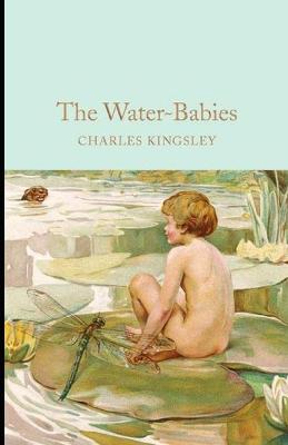Book cover for The Water-Babies Illustrated