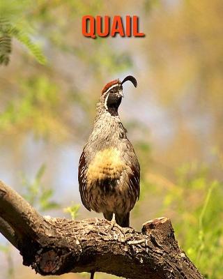 Book cover for Quail