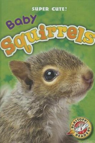 Cover of Baby Squirrels