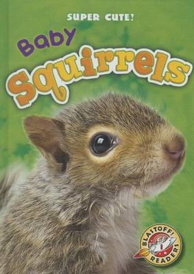 Book cover for Baby Squirrels