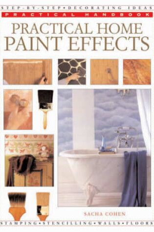 Cover of Practical Home Paint Effects