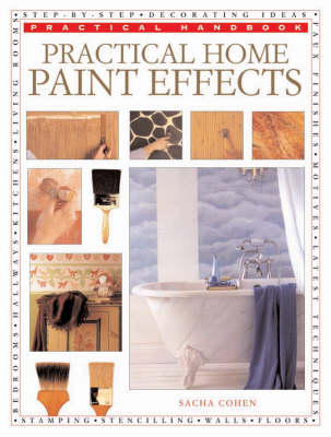 Book cover for Practical Home Paint Effects