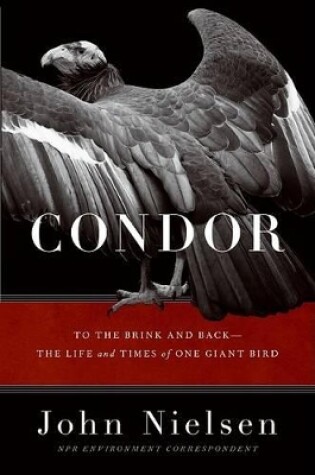 Cover of Condor