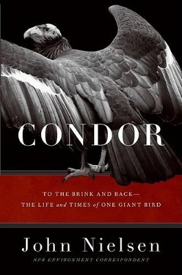 Book cover for Condor