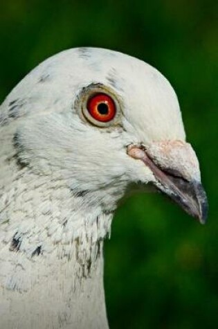 Cover of Scary Bird Journal