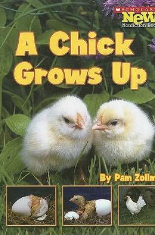 Cover of A Chick Grows Up