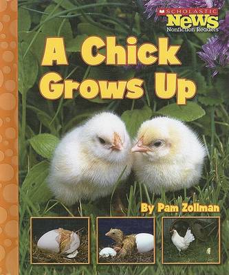 Cover of A Chick Grows Up