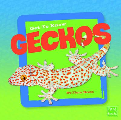 Book cover for Get to Know Reptiles Get to Know Geckos