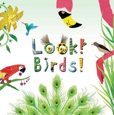 Book cover for Look! Birds!