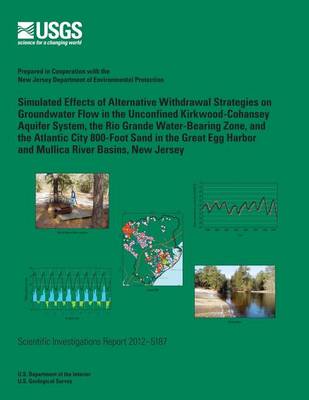 Book cover for Simulated Effects of Alternative Withdrawal Strategies on Groundwater Flow