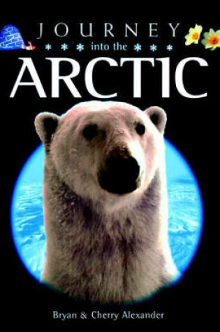 Cover of Journey into the Arctic