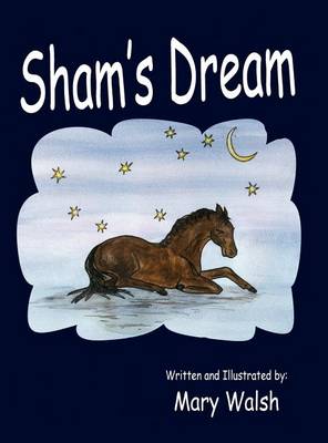 Book cover for Sham's Dream