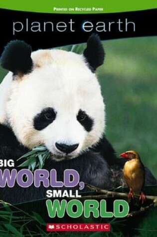 Cover of Planet Earth: Big World Small World