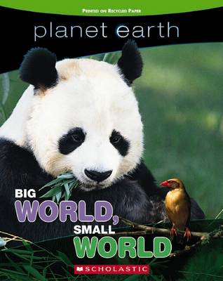 Book cover for Planet Earth: Big World Small World