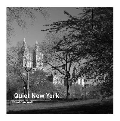 Book cover for Quiet New York