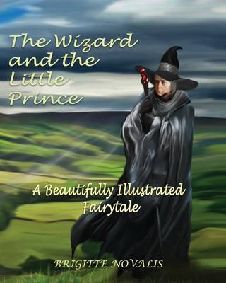 Book cover for The Wizard and the Little Prince