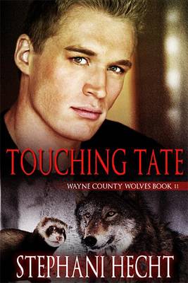 Book cover for Touching Tate