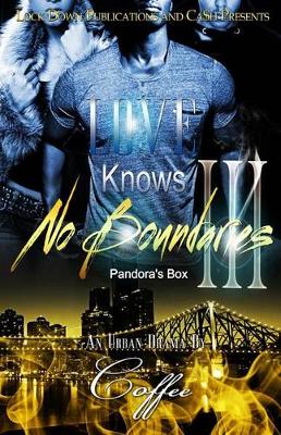 Book cover for Love Knows No Boundaries III