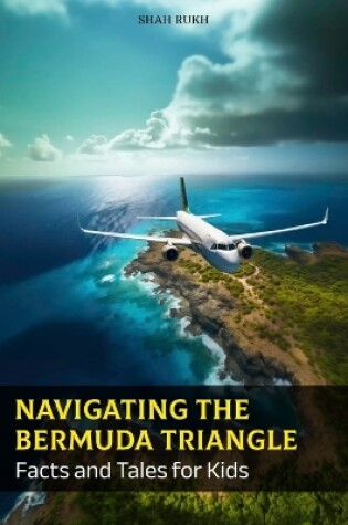 Cover of Navigating the Bermuda Triangle