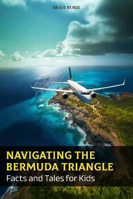 Cover of Navigating the Bermuda Triangle