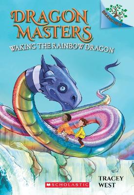 Book cover for Dragon Masters