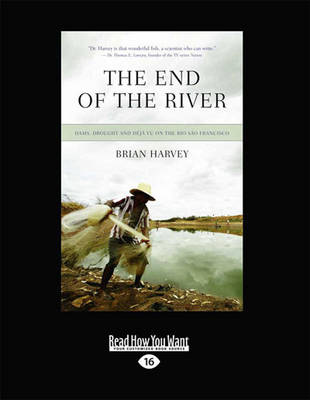 Book cover for The End of the River