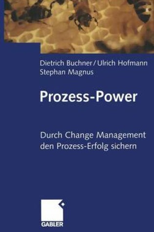 Cover of Prozess-Power