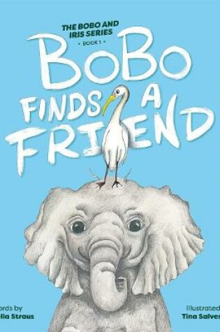 Cover of BoBo Finds a Friend