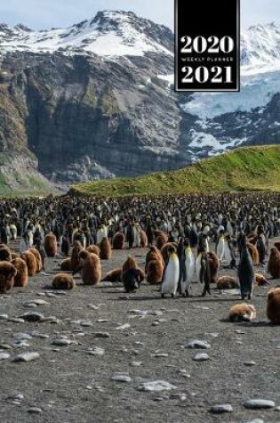 Cover of Penguin Puffin Antarctica Seabird Week Planner Weekly Organizer Calendar 2020 / 2021 - Meeting at the Mountains