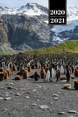 Book cover for Penguin Puffin Antarctica Seabird Week Planner Weekly Organizer Calendar 2020 / 2021 - Meeting at the Mountains
