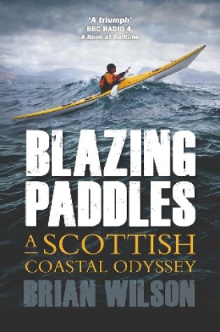 Cover of Blazing Paddles