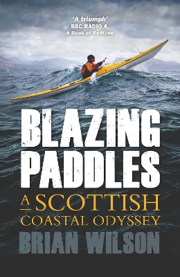 Book cover for Blazing Paddles