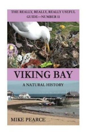 Cover of Viking Bay