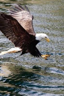 Book cover for Bald Eagle Catching a Fish Journal