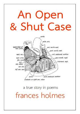 Book cover for An Open and Shut Case