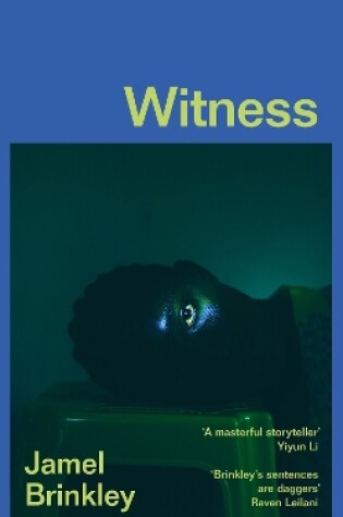 Cover of Witness