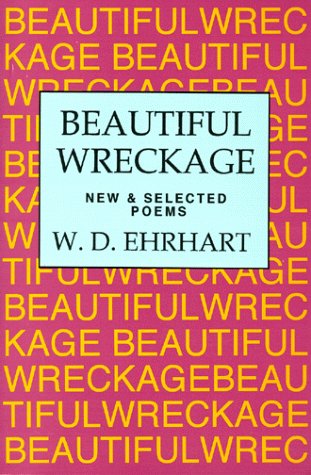 Book cover for Beautiful Wreckage: New & Selected Poems