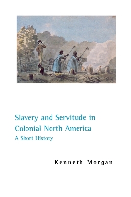 Book cover for Slavery and Servitude in Colonial North America