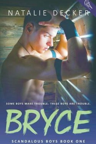 Cover of Bryce