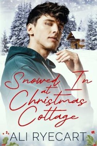 Cover of Snowed In at Christmas Cottage