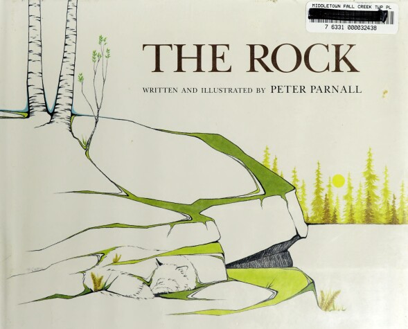 Book cover for The Rock