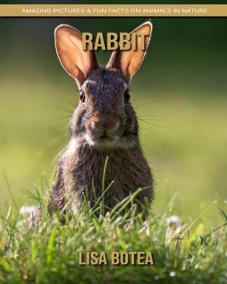 Book cover for Rabbit