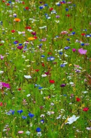 Cover of Field Of Wild Flowers Daily Planner