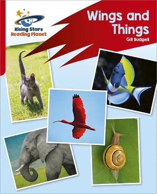 Book cover for Reading Planet: Rocket Phonics – Target Practice – Wings and Things – Red B