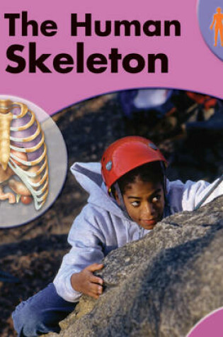 Cover of The Human Skeleton