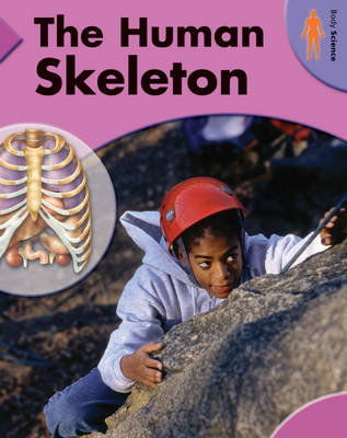 Cover of The Human Skeleton