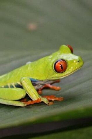 Cover of Tiny Red Eyed Tree Frog Journal