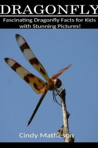 Cover of Dragonfly