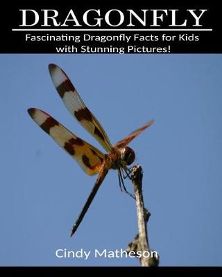 Cover of Dragonfly